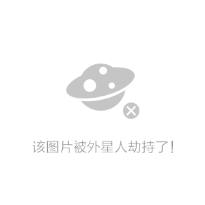 抛砖引玉打一生肖